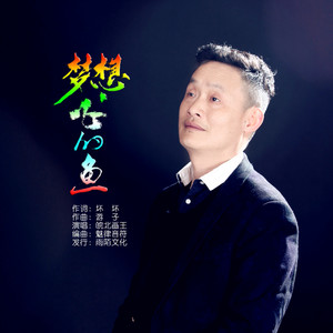 梦想飞的鱼