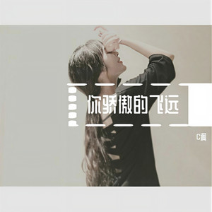 C调 - 你骄傲的飞远
