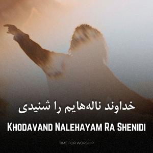 Khodavand Nalehayam Ra Shenidi (feat. Vahid Norouzi)