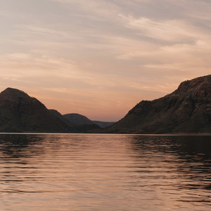 Gregory Panetti - Emotional Reset