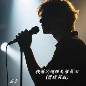 我懂的道理都带着泪 (情绪男版)