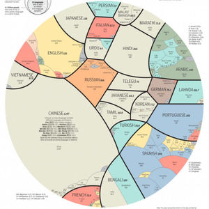 A History Of Human Language