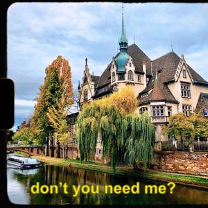 don't you need me?
