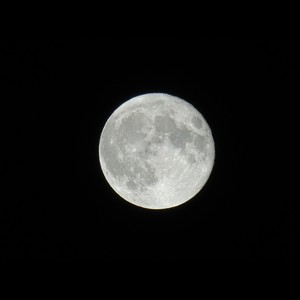 fly me to the moon (Demo)