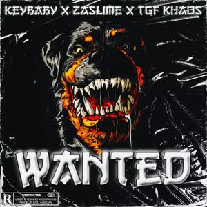 WANTED (feat. ZaSlime & TGF Khaos) [Explicit]