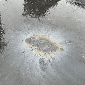 ORANGE CURRY (Explicit)