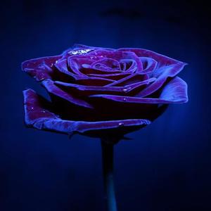 Hearts Broken (Explicit)