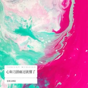 也许放弃才能靠近你封面