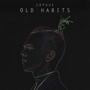 Old Habits (feat. Big Tia)