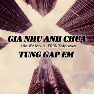 Giá Như Anh Chưa Từng Gặp Em