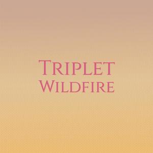 Triplet Wildfire