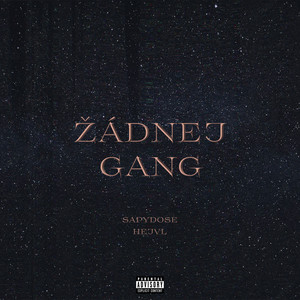 Žádnej Gang (Explicit)