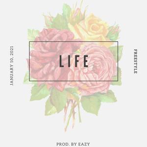 Life (Freestyle) [Explicit]