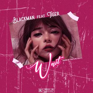 Wait (feat. Tiger) (Explicit)