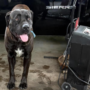 Pop Em All (feat. Prod. Bradl3y) (Explicit)