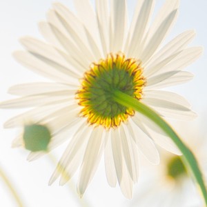 刻在我心底的名字