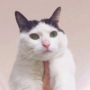 《贺新谣》(九大职业倾情献唱,迎新春,贺新年)