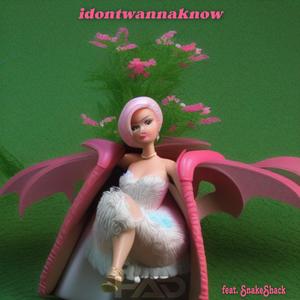 idontwannaknow (feat. SnakeShack) (Explicit)