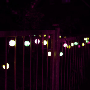 Afternoon Lights