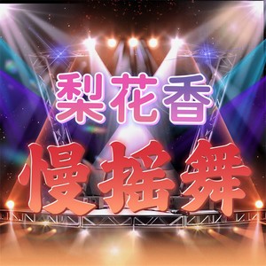 梨花香 (慢摇舞)封面