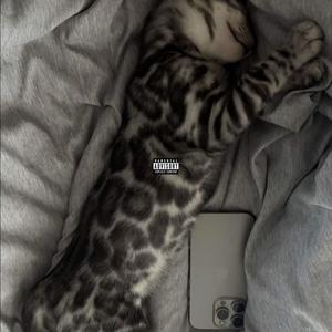 711 (feat. xtsy*) (Explicit)