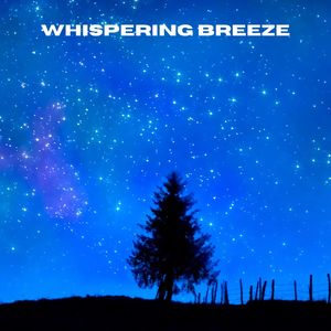 Mysterious Echoes (Loopable, No Fade)