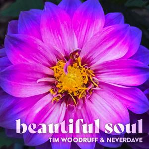 Beautiful Soul (feat. Neverdave)