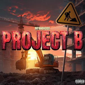 Project B (Explicit)