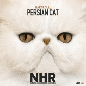 Persian Cat