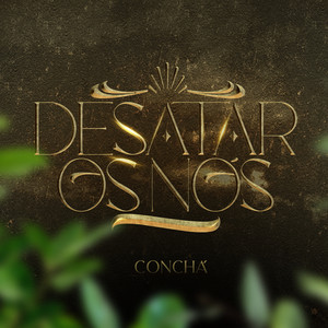 Desatar os Nós