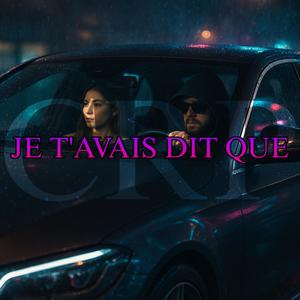 JE T'AVAIS DIT QUE (Explicit)
