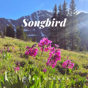 Songbird