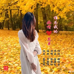 谁为我的痴情买单