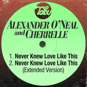 Never Knew Love Like This / Never Knew Love Like This (Extended Version)