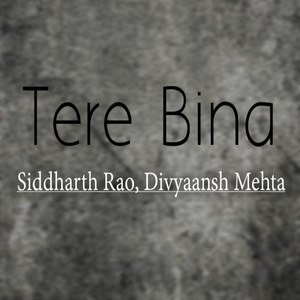 Tere Bina (Explicit)