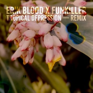 Tropical Depression (Erik Blood Remix)