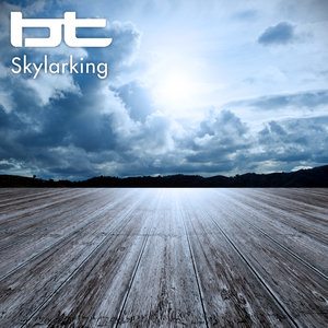 Skylarking (Radio Edit) - Single