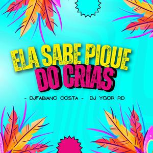 ELA SABE PIQUE DO CRIAS (feat. dj fabiano costa)