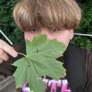 Every time (Explicit)