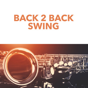 Back 2 Back Swing