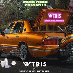 WTBIS by Playa Red (Explicit)