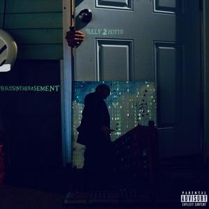 Birds In The Basement (Explicit)