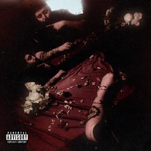 Chrysanthème (Explicit)