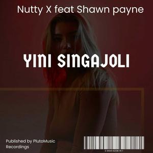 Yini SingaJoli (feat. Shawn Payne)