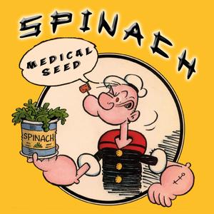 Spinach (feat. Jtx & Lila QUEEN) [Explicit]