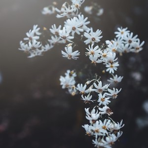 失去你之后 (伴奏)