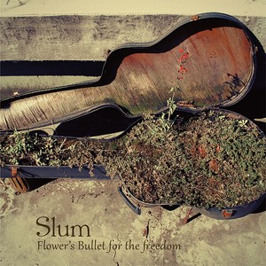 Flower's Bullet For The Freedom