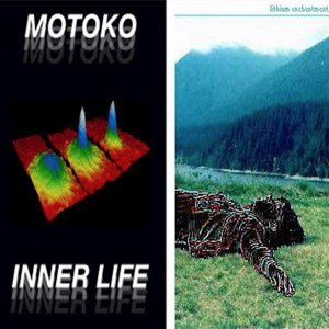 Hidden Forest (Loss)