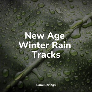 Sounds of Rain and Thunder