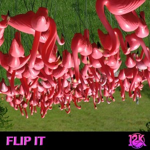 Flip It (Explicit)